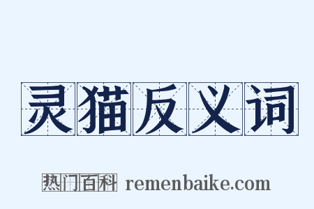 灵猫反义词是什么意思的图片